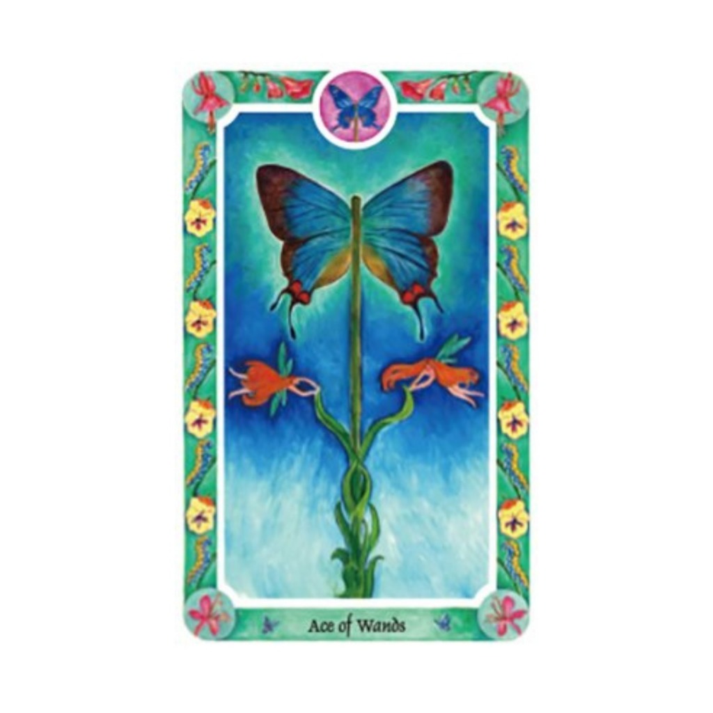 インナーチャイルドカード札幌占い星カフェいんよう堂